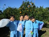 IMG_3915.jpg