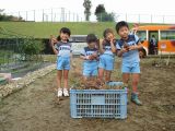 IMG_0018.jpg