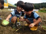 DSCN7818.jpg