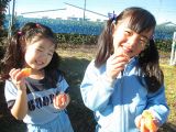 IMG_0041.jpg