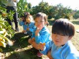 DSCN7945.jpg