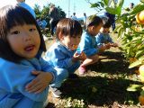 DSCN7946.jpg