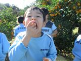 IMG_2515.jpg