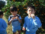 IMG_2518.jpg