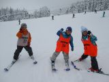 IMG_2555.jpg