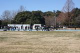 IMG_4975.jpg